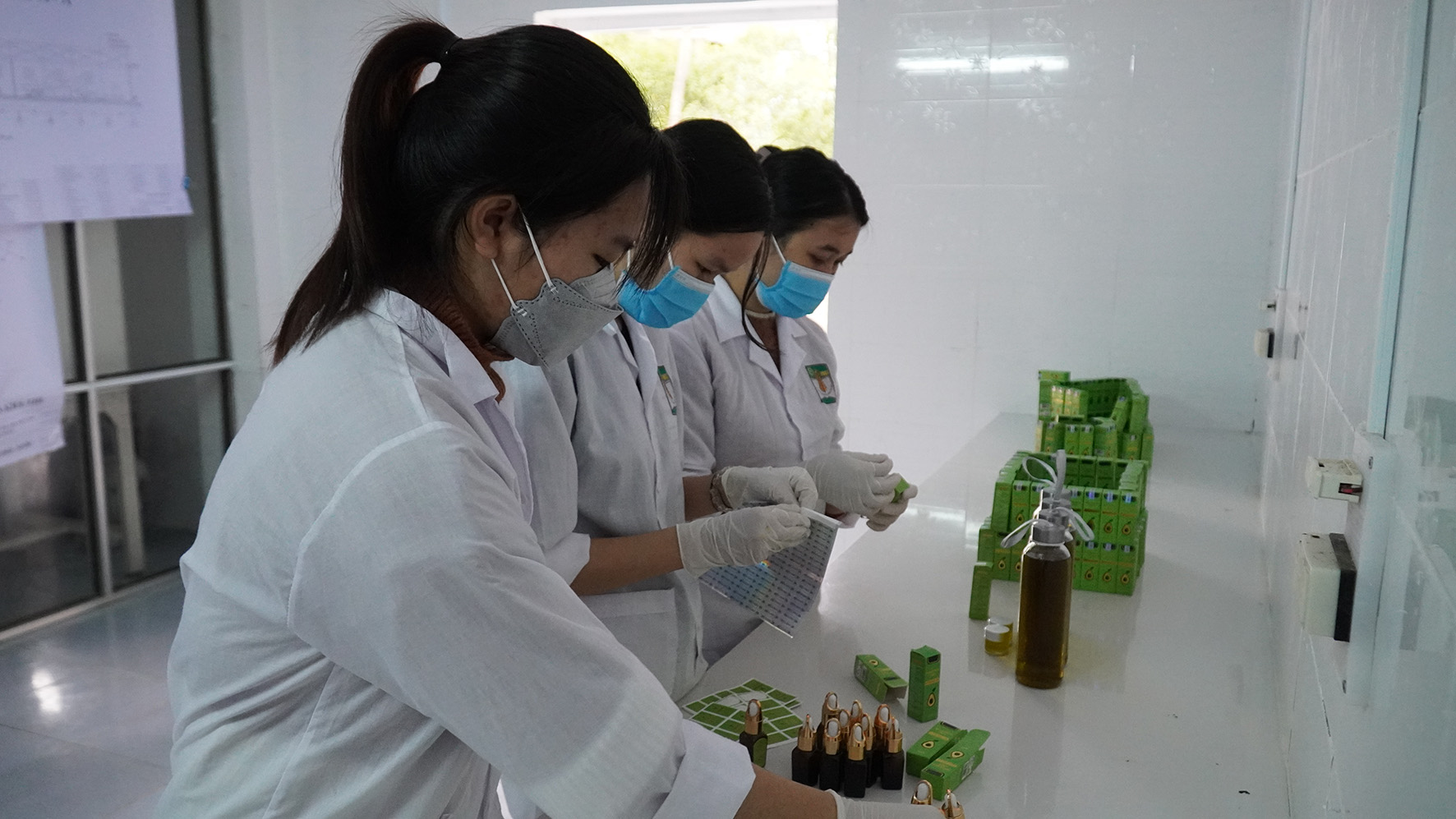 Đóng gói sản phẩm dầu bơ tại Trạm Nghiên cứu và phát triển nấm trực thuộc Sở Khoa học và Công nghệ Quảng Trị-Ảnh: Anh Vũ